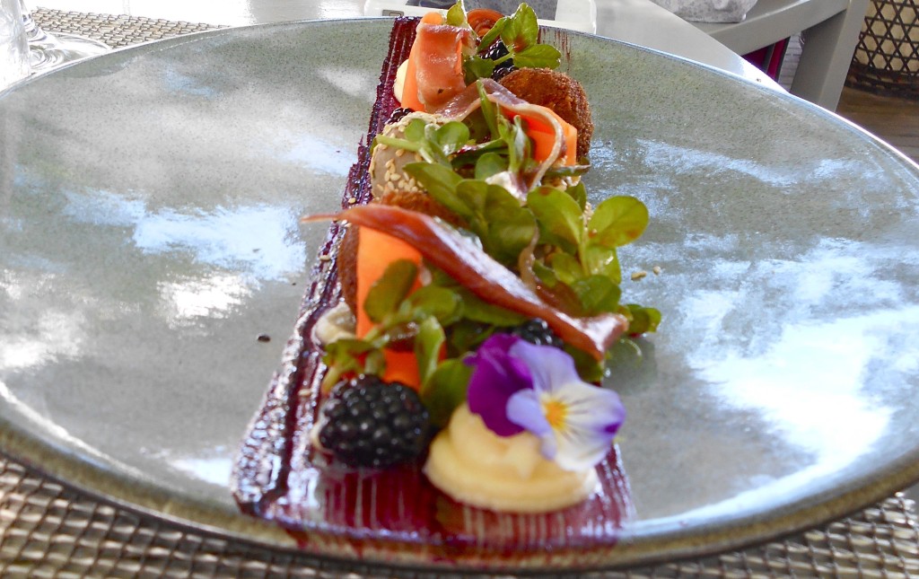 delaire duck starter