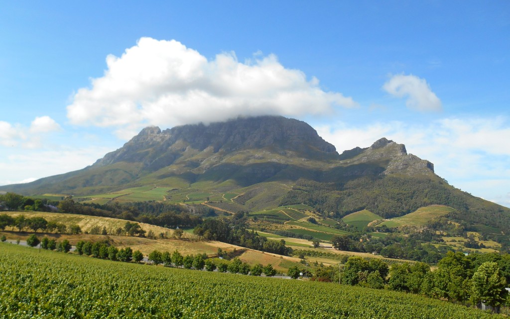 The view from the restaurant terrace