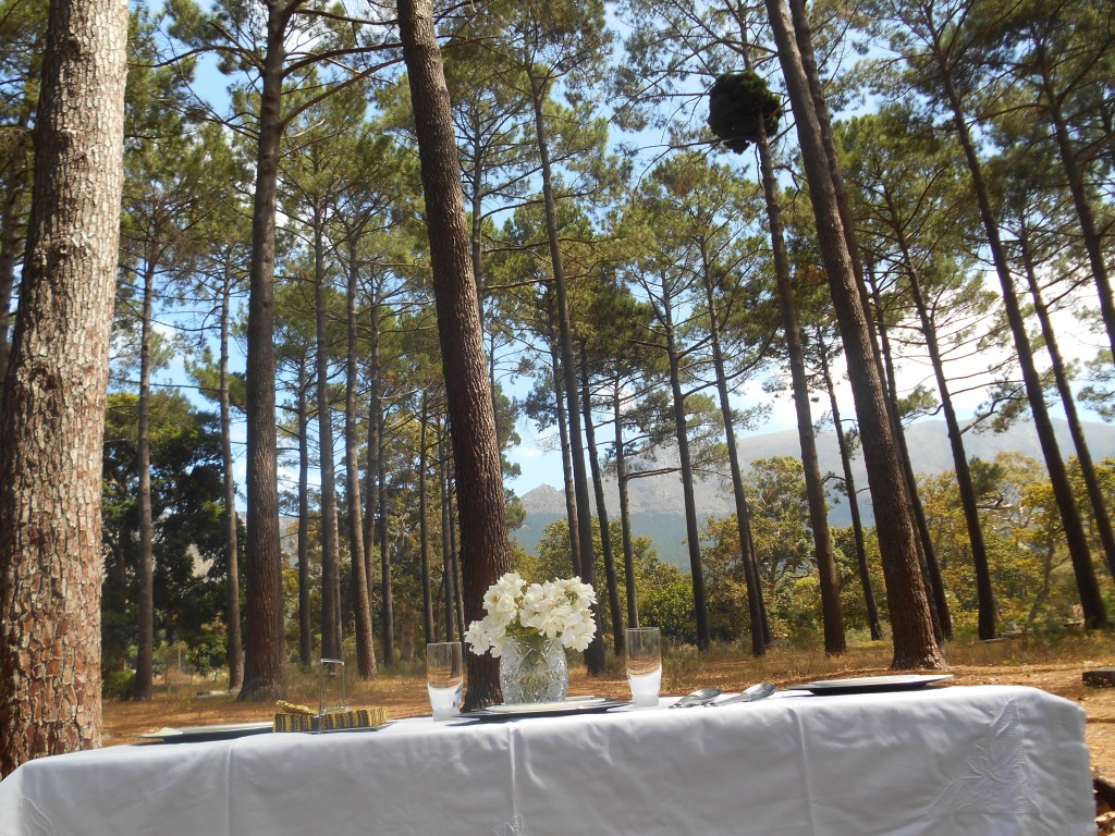 forest