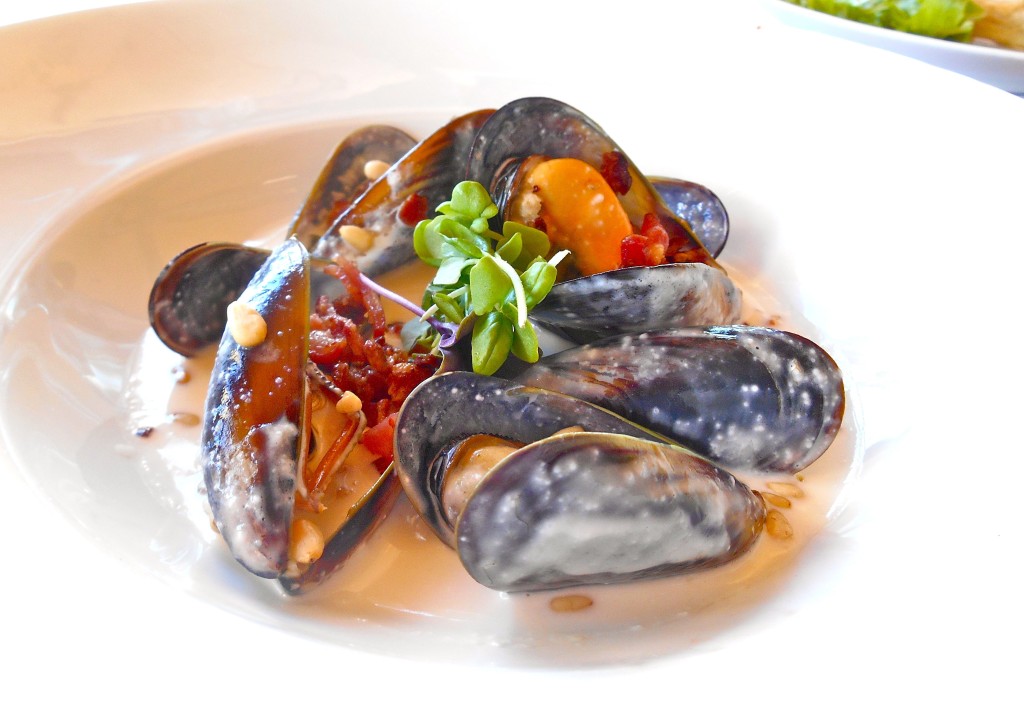 mussels