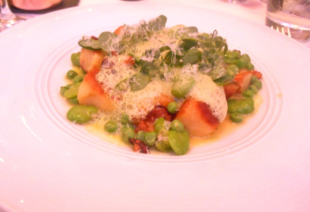 gnocchi
