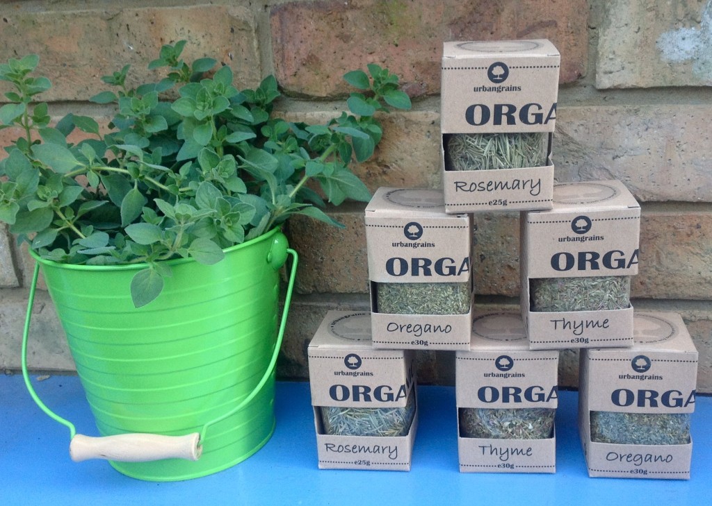 herbs