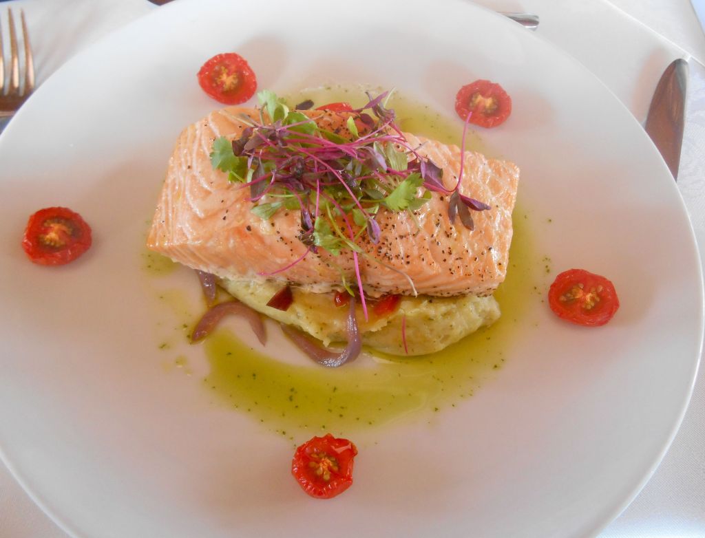 salmon