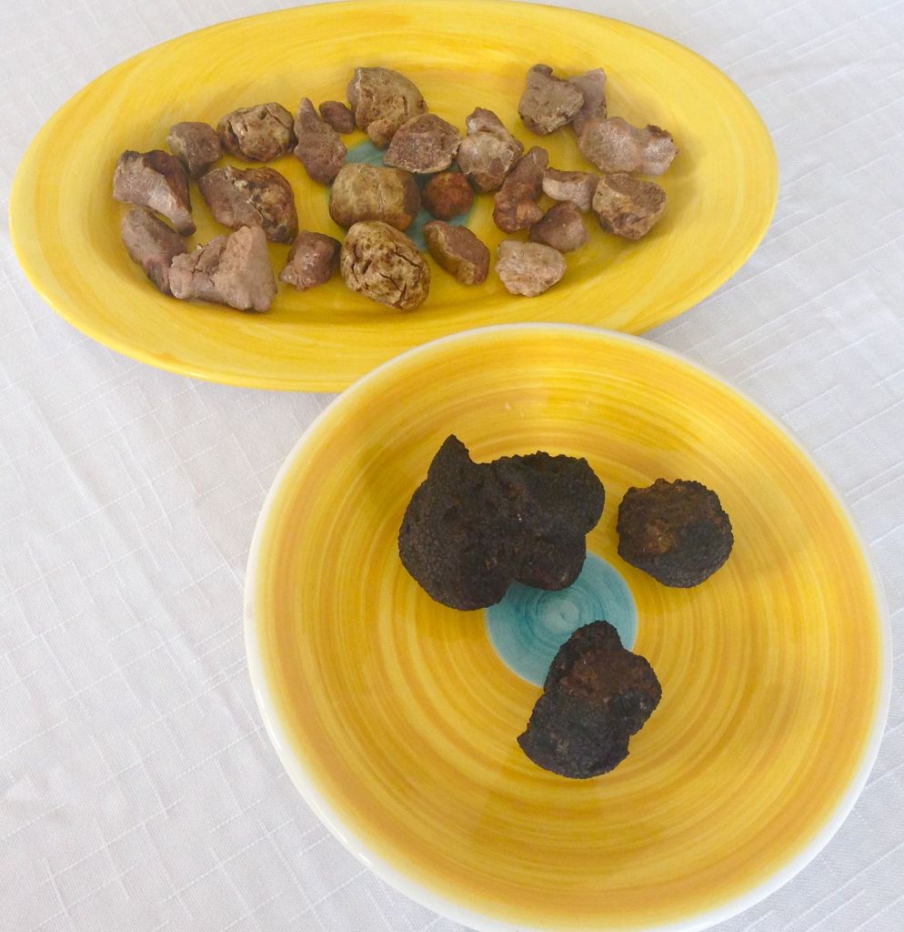 Plenty of truffles...both black and white