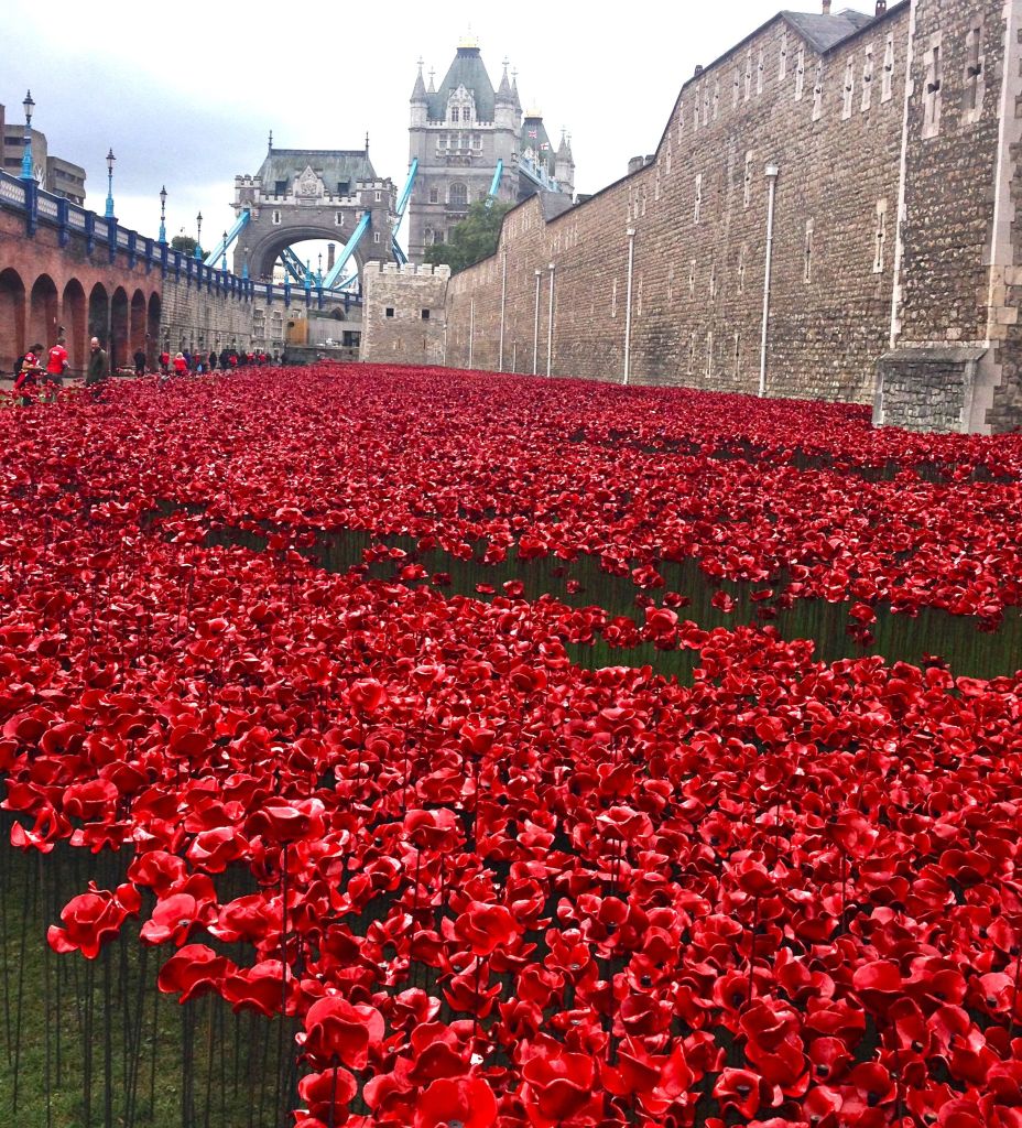 poppies