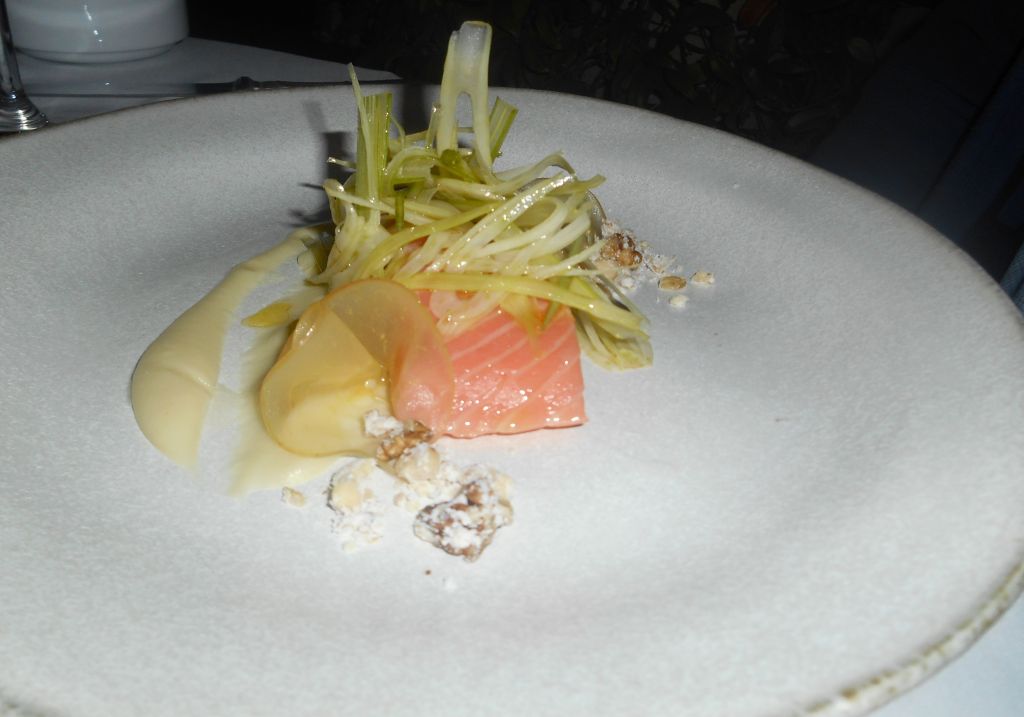 salmon