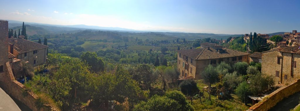the view