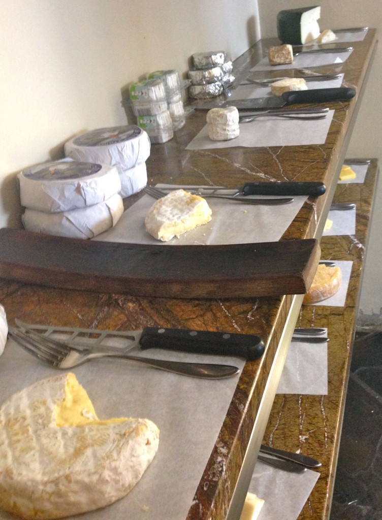 cheese1