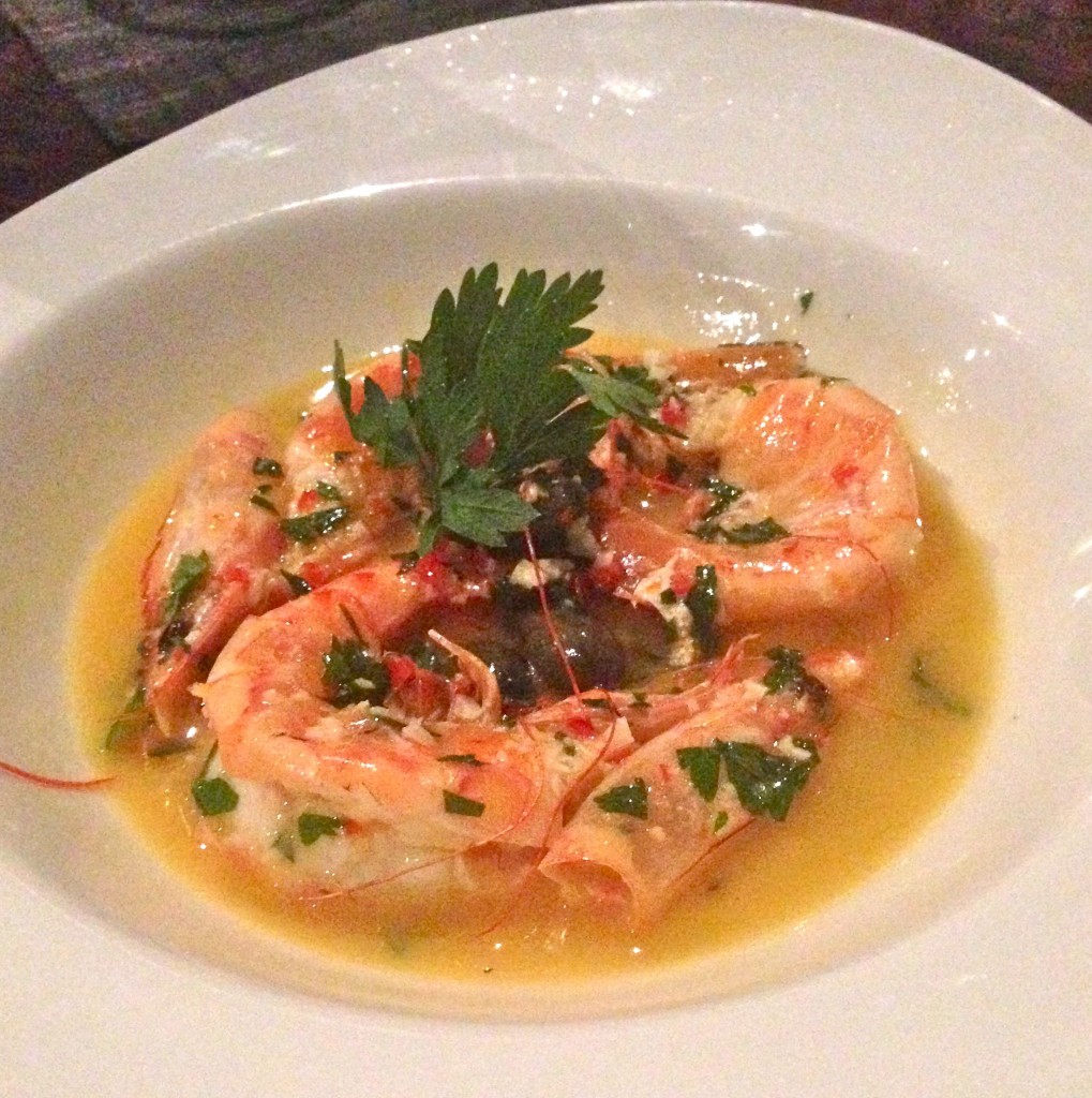 prawn starater