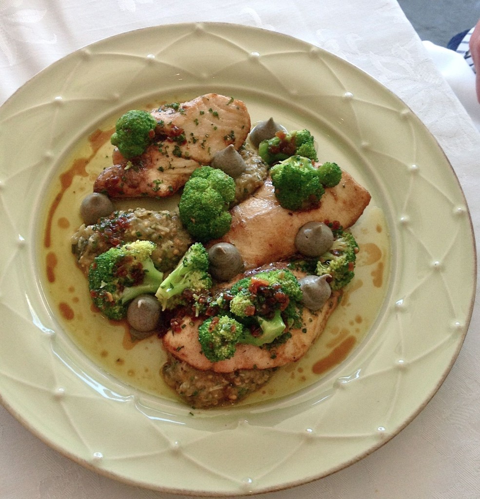 yellowtail