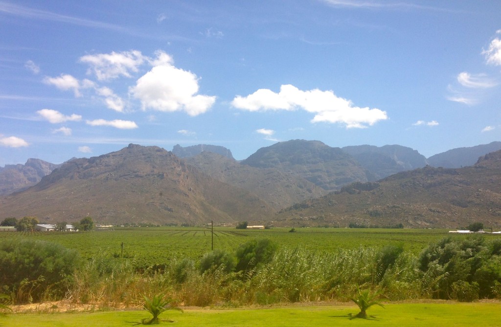 mountains