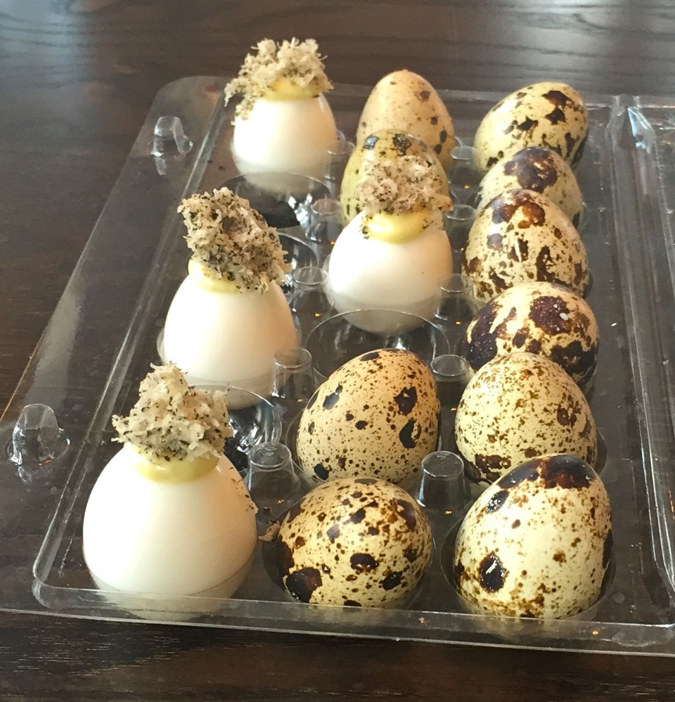 quails eggs