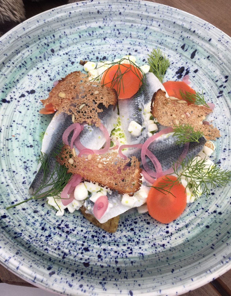 herring