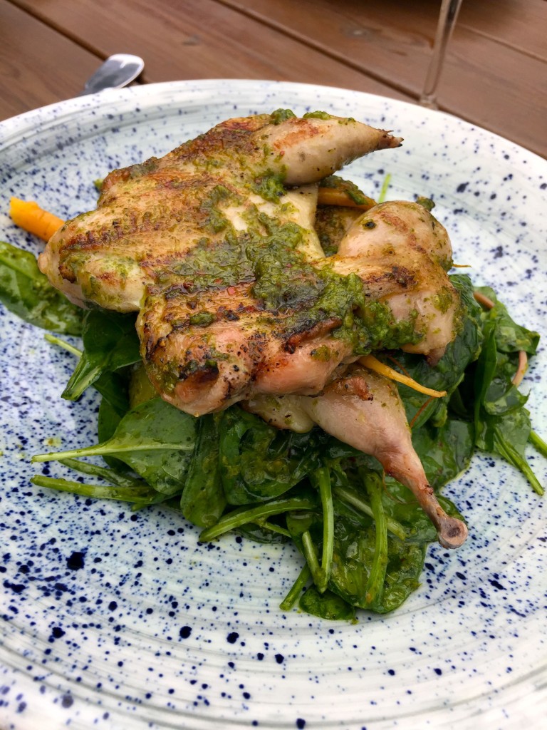 quail