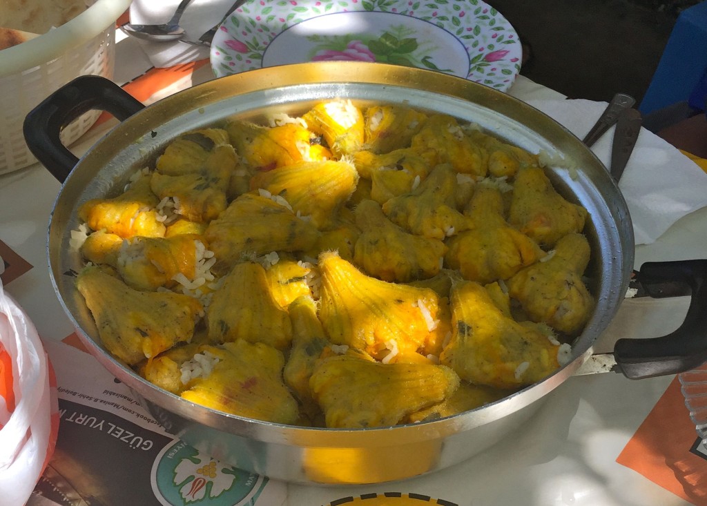 pumpkin leaves