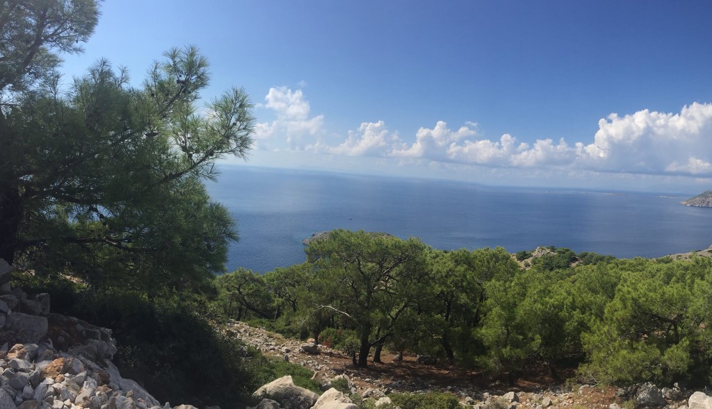 view from top