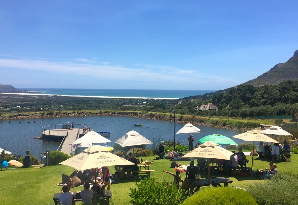 view