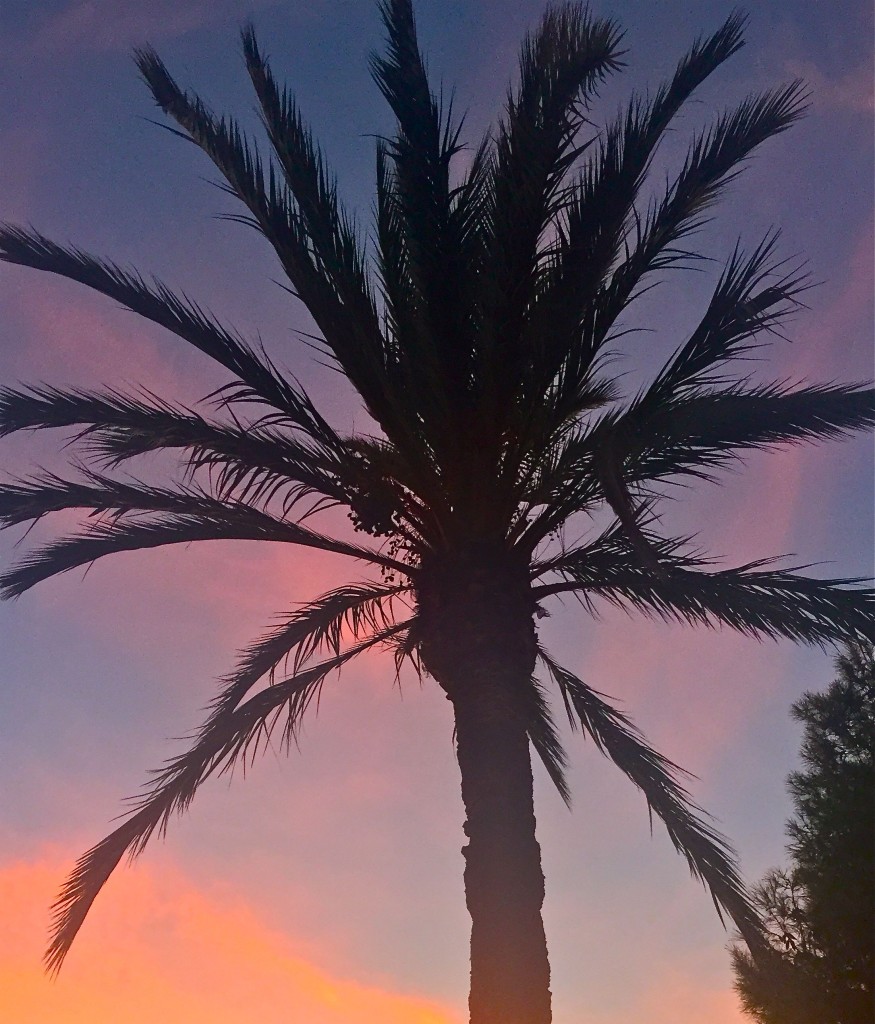 purple night