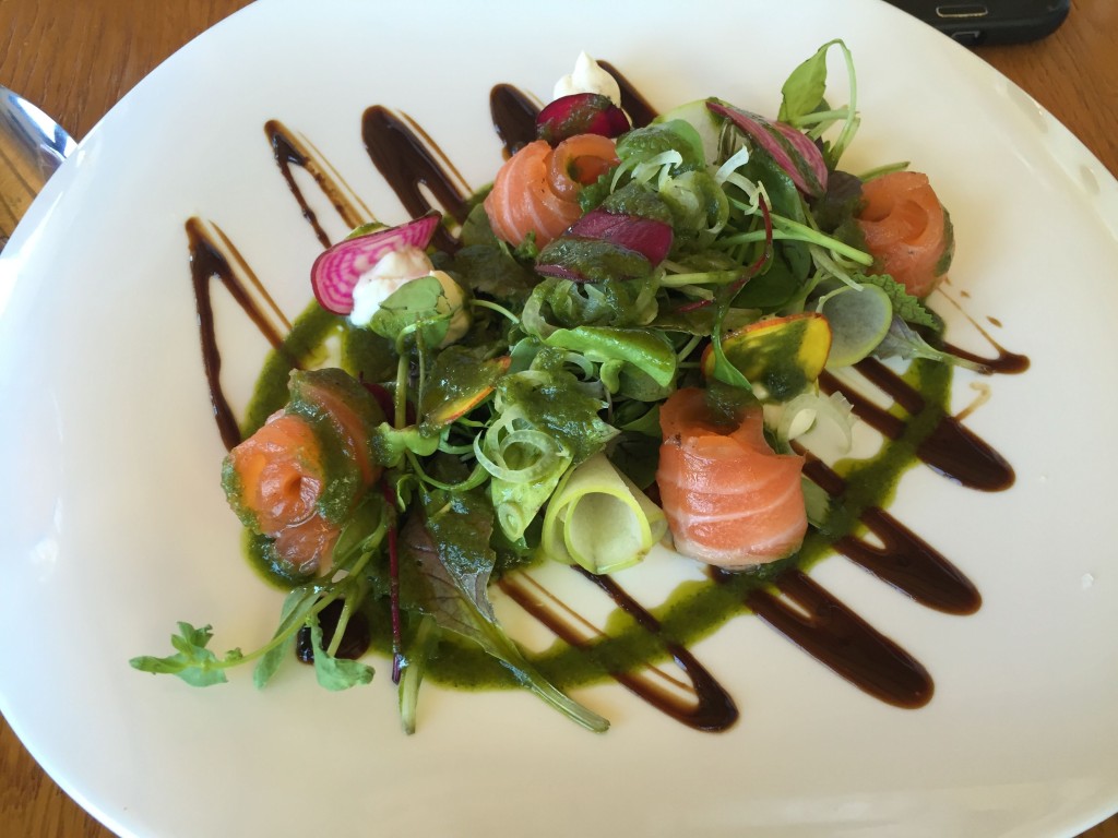 salmon