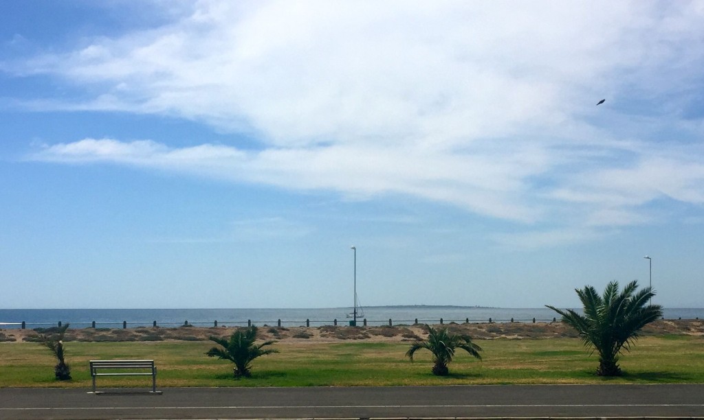 view