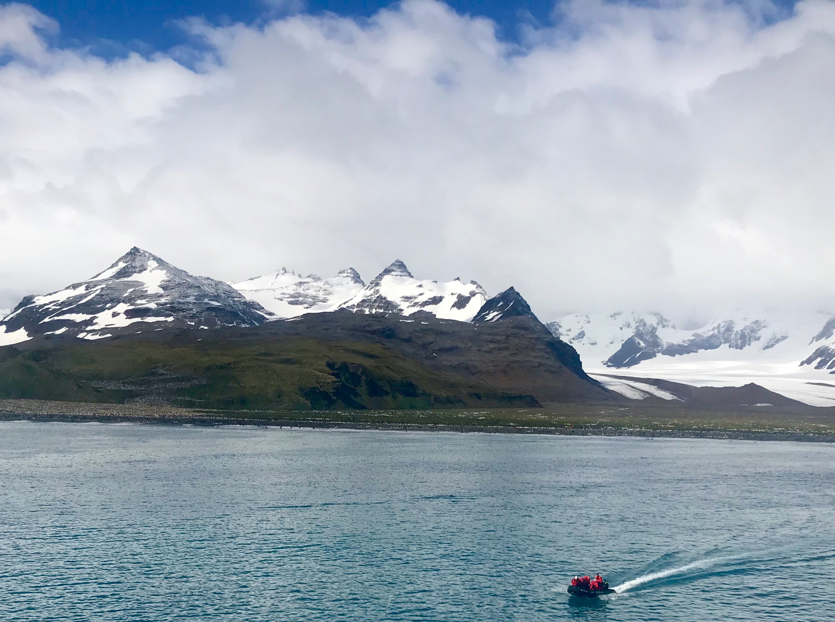 South Georgia: first sight