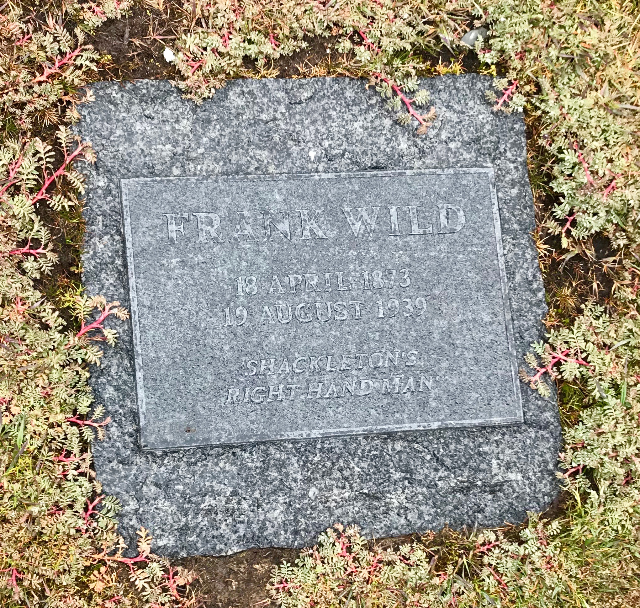 South Georgia: Frank Wild