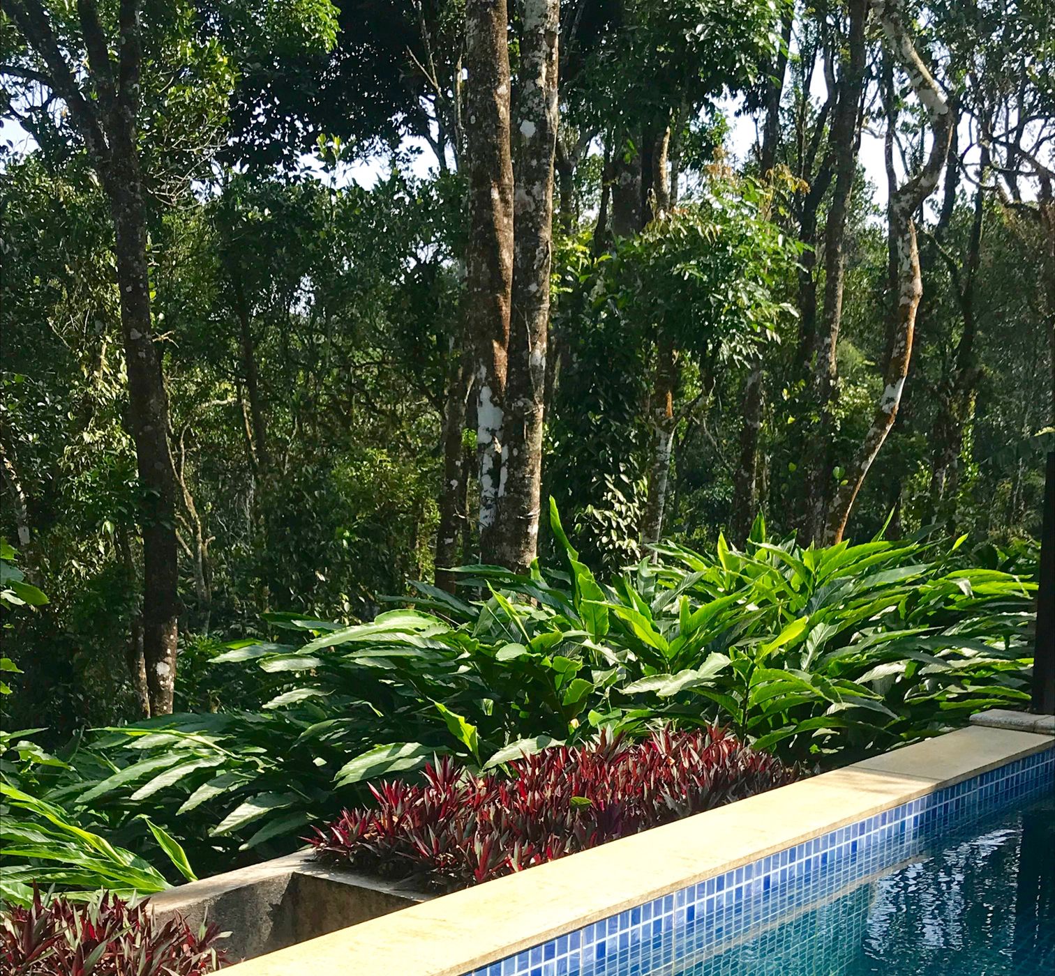 Kerala: Thekkady
