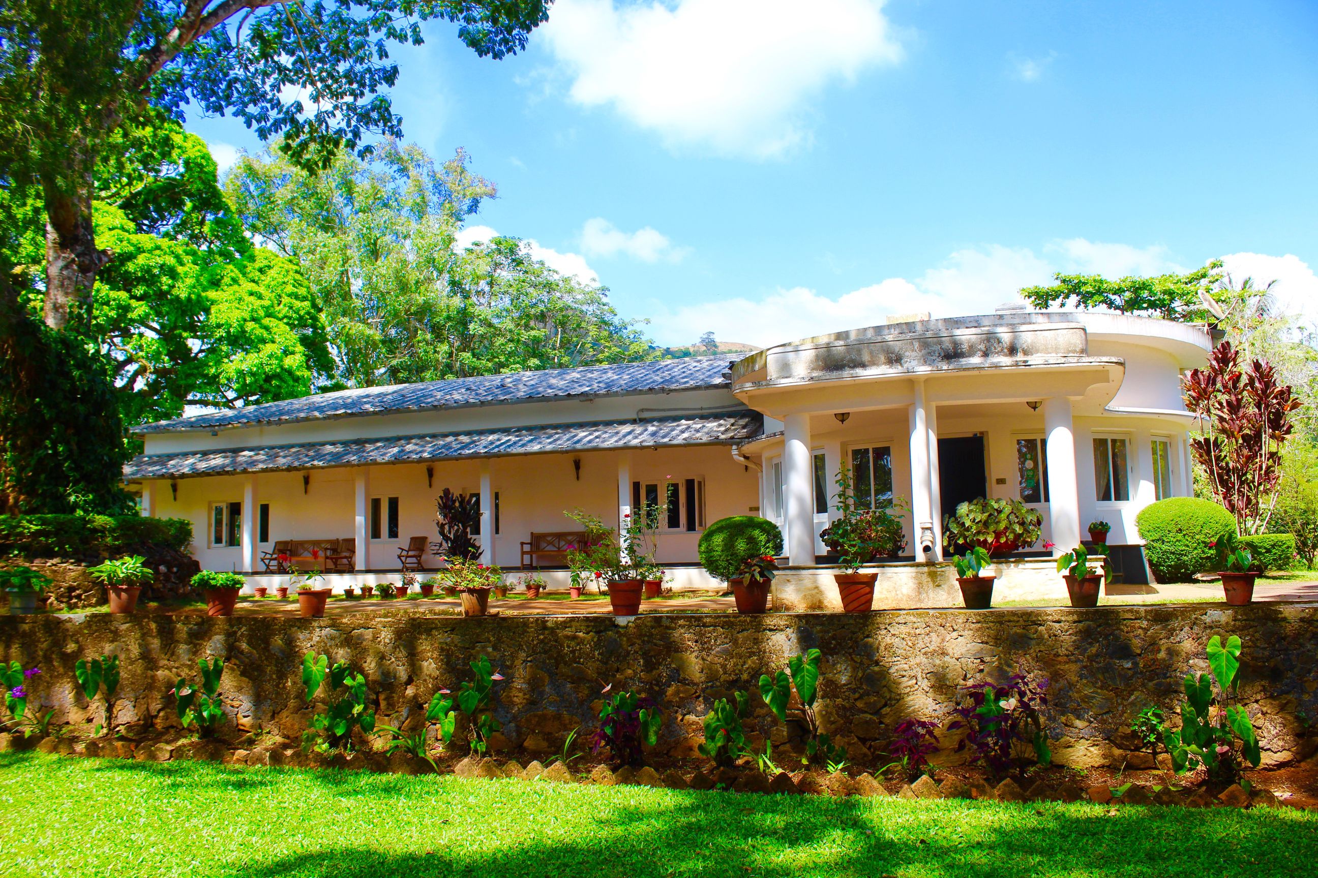 Kerala: Wayanad
