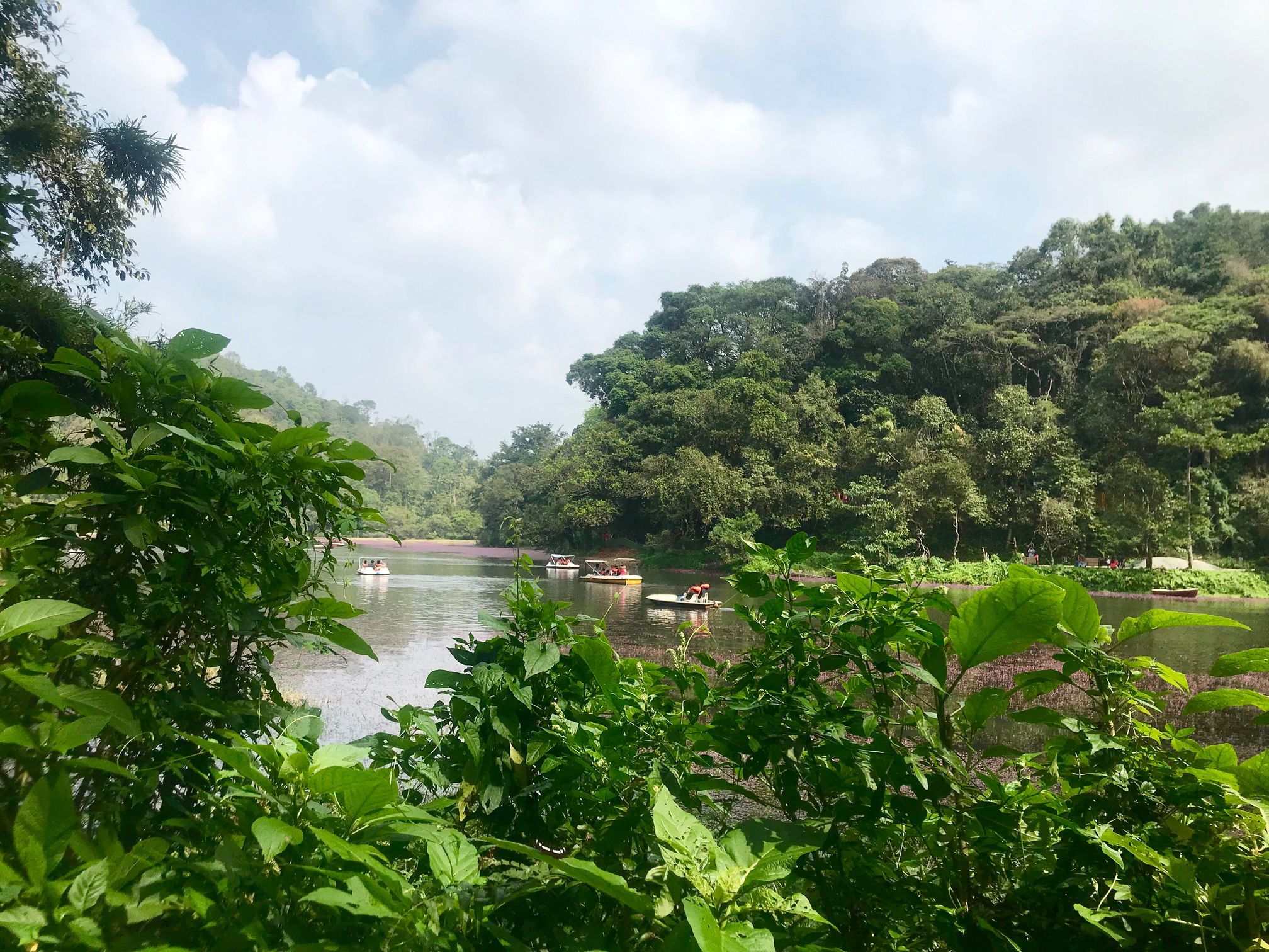 Kerala: Pookot