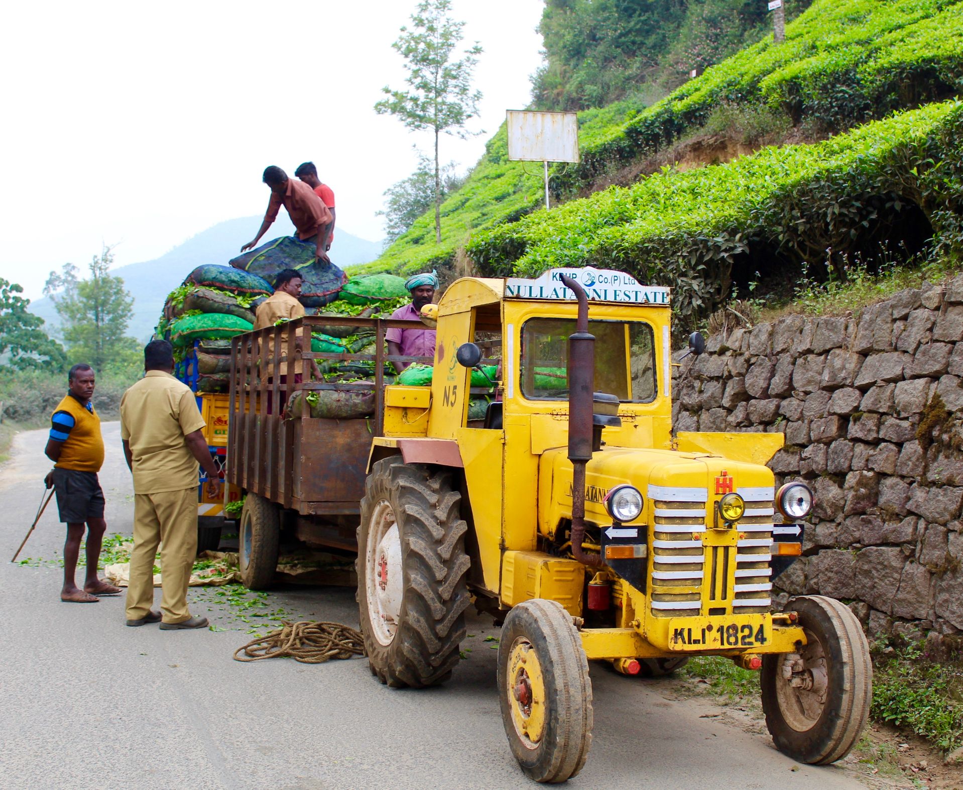 Kerala: Munnar