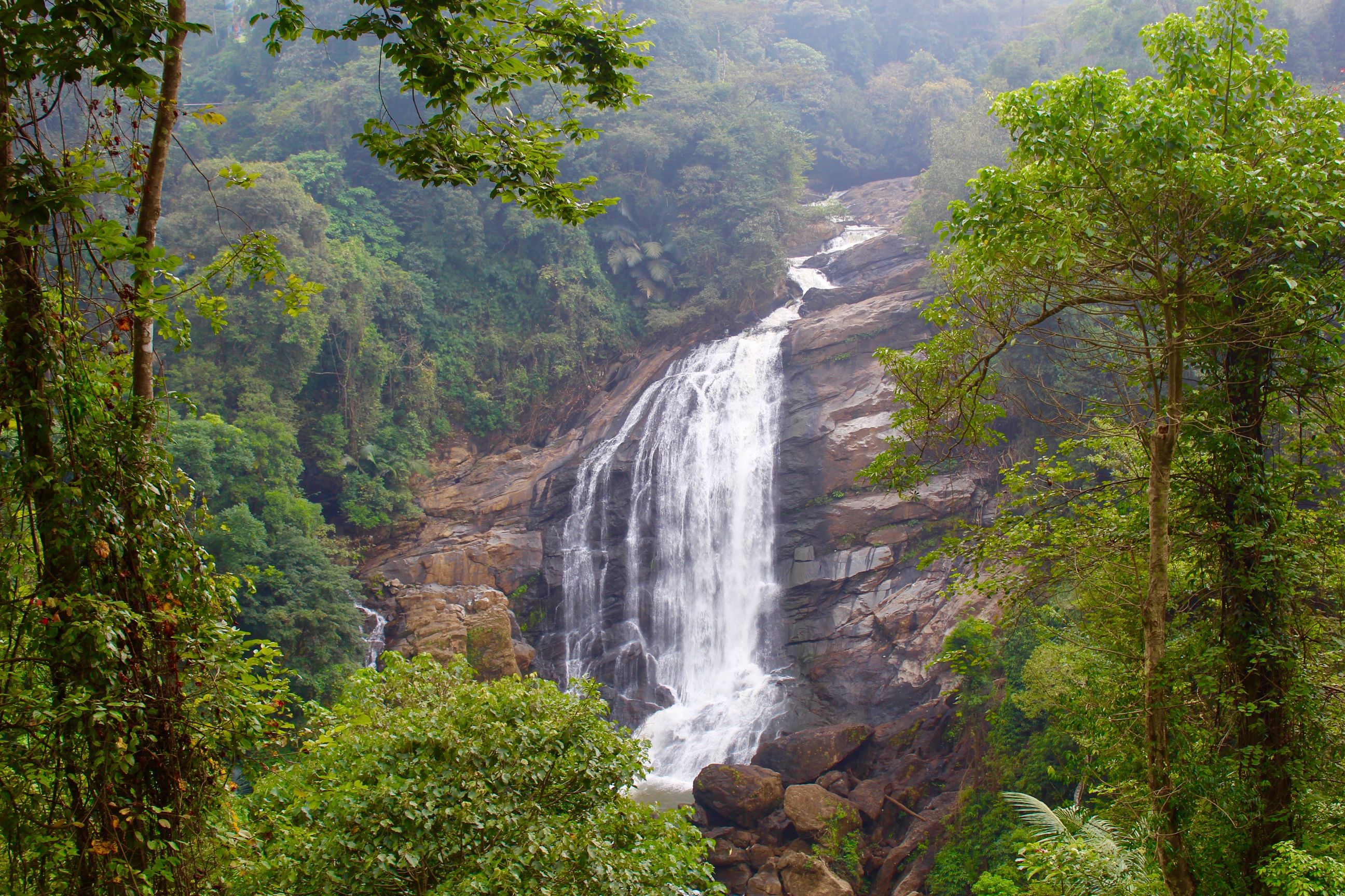 Kerala: Munnar