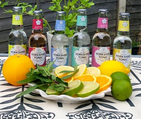 Rainsthorpe Manor: tonics