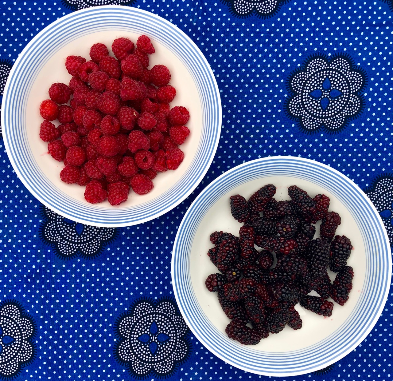 Rosie Makes Jam: berries