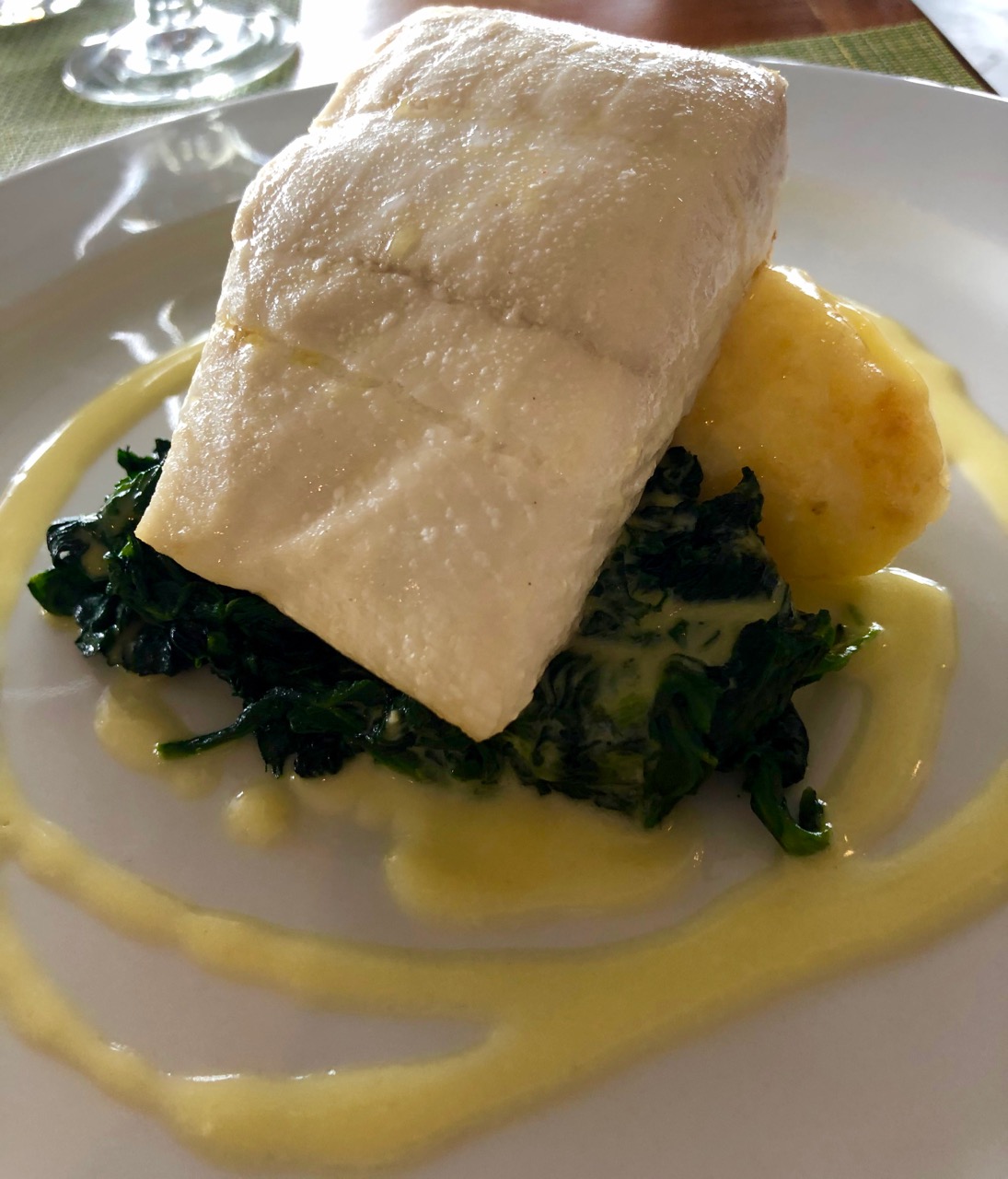 High timber: turbot